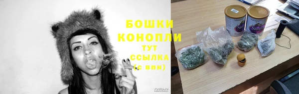 первитин Нея