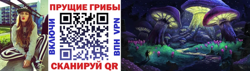 сколько стоит Рассказово Псилоцибиновые грибы мицелий